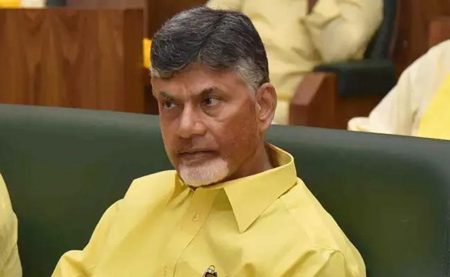 Chandrababu To Bank Only On 'Nepotism'